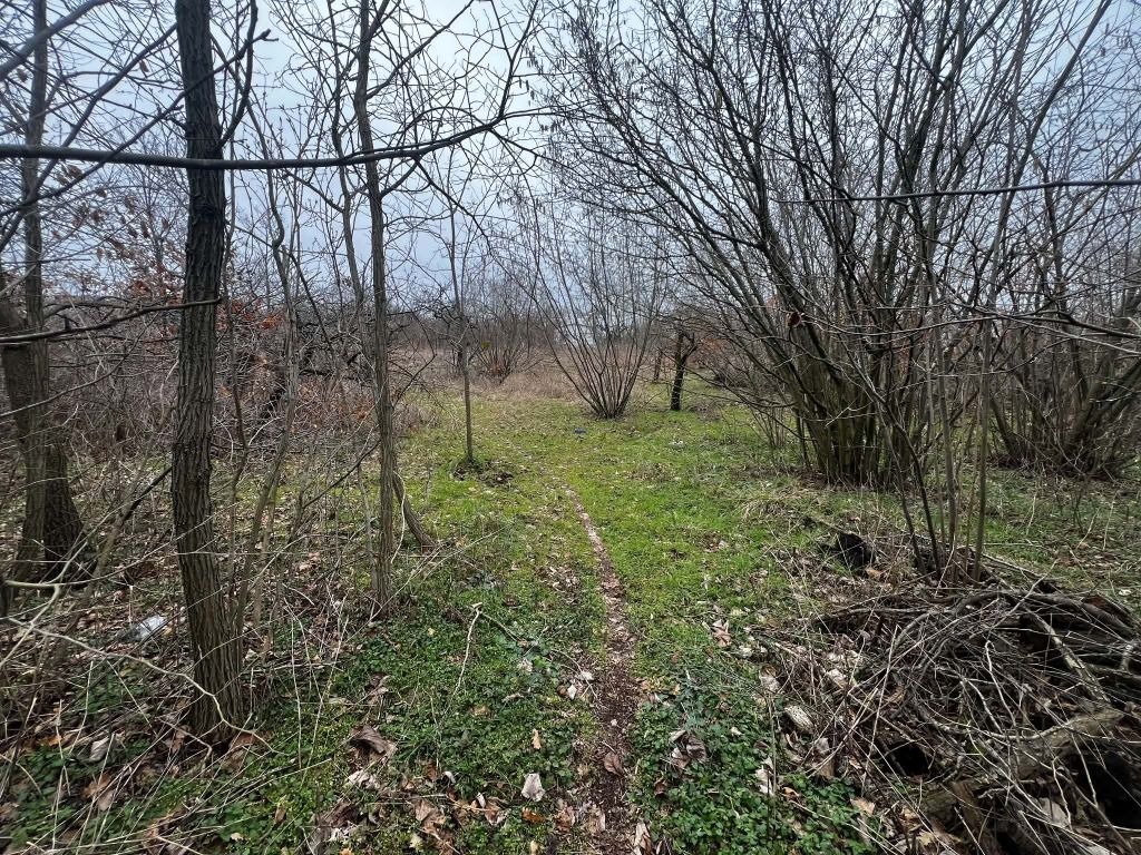 ������� ������ | Imot.bg � ����������� 10