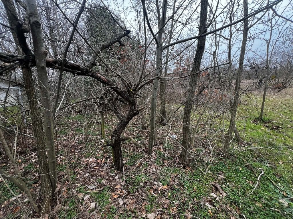 ������� ������ | Imot.bg � ����������� 4