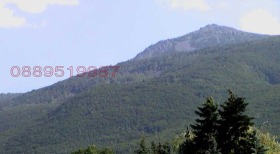 ������ ������� ������