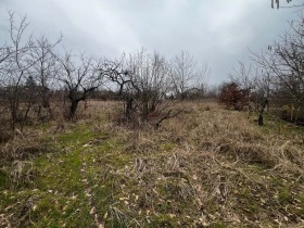 ������� ������ | Imot.bg � ����� ������ 3