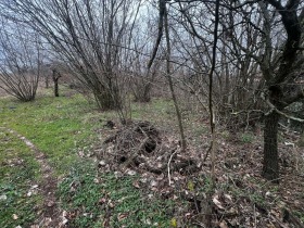 ������� ������ | Imot.bg � ����� ������ 6