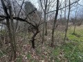 Продава  Парцел град Варна , м-т Боровец - север , 1045 кв.м | 99808533 - изображение [4]