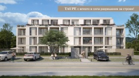 ����� ������� 3-�����,���� �����, ���������