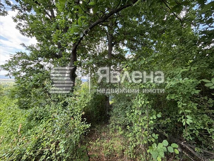 Продава ПАРЦЕЛ, с. Рударци, област Перник, снимка 4 - Парцели - 55139036
