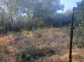 Продава КЪЩА, с. Владо Тричков, област София област, снимка 14