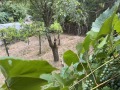 Продава КЪЩА, с. Владо Тричков, област София област, снимка 10