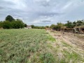 Продава  Къща област Русе , с. Екзарх Йосиф , 110 кв.м | 55338844 - изображение [5]