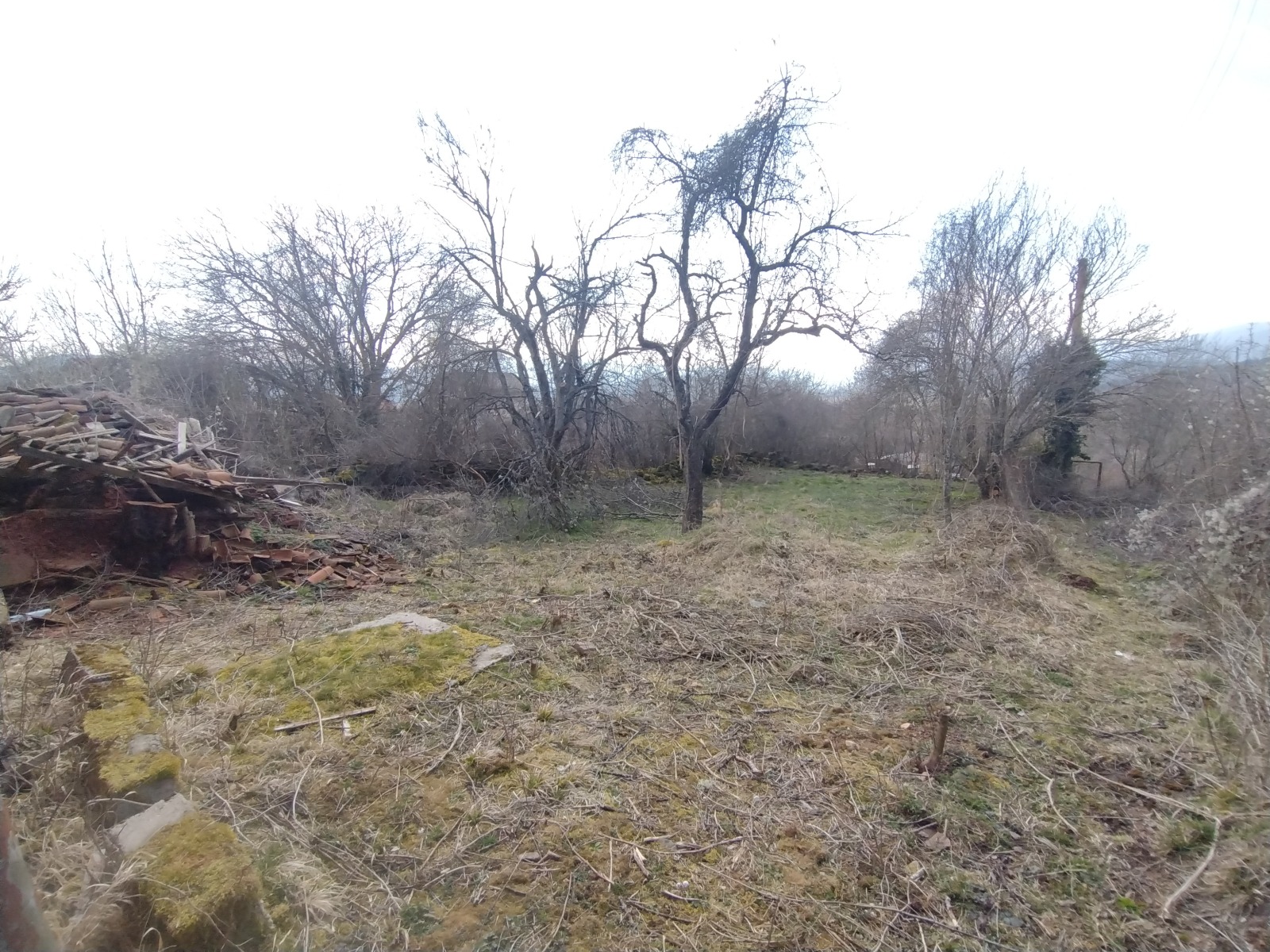 Продава КЪЩА, гр. Трън, област Перник, снимка 3 - Къщи - 53739799