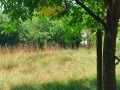 Продава  Къща област Враца , гр. Криводол , 180 кв.м | 85132772 - изображение [12]