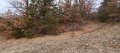 Продава ПАРЦЕЛ, област София, с. Пчелин • 25000 лв. • 31433068 — Holmes.bg