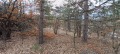 Продава ПАРЦЕЛ, област София, с. Пчелин • 25000 лв. • 31433068 — Holmes.bg