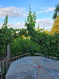 Продава КЪЩА, с. Синаговци, област Видин, снимка 3