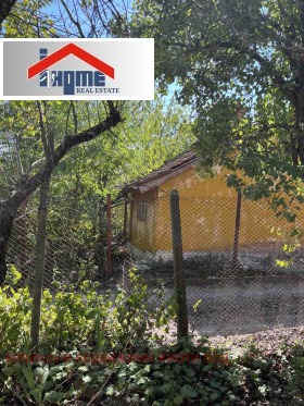 ����� ������� ����,���� ������, �-� �������