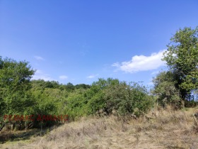 ������� ������ | Imot.bg � ����� ������ 16