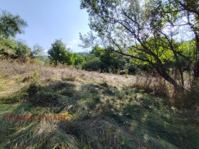 ������� ������ | Imot.bg � ����� ������ 12