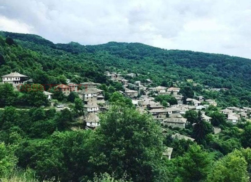 Продава КЪЩА, с. Ковачевица, област Благоевград, снимка 2 - Къщи - 52784358