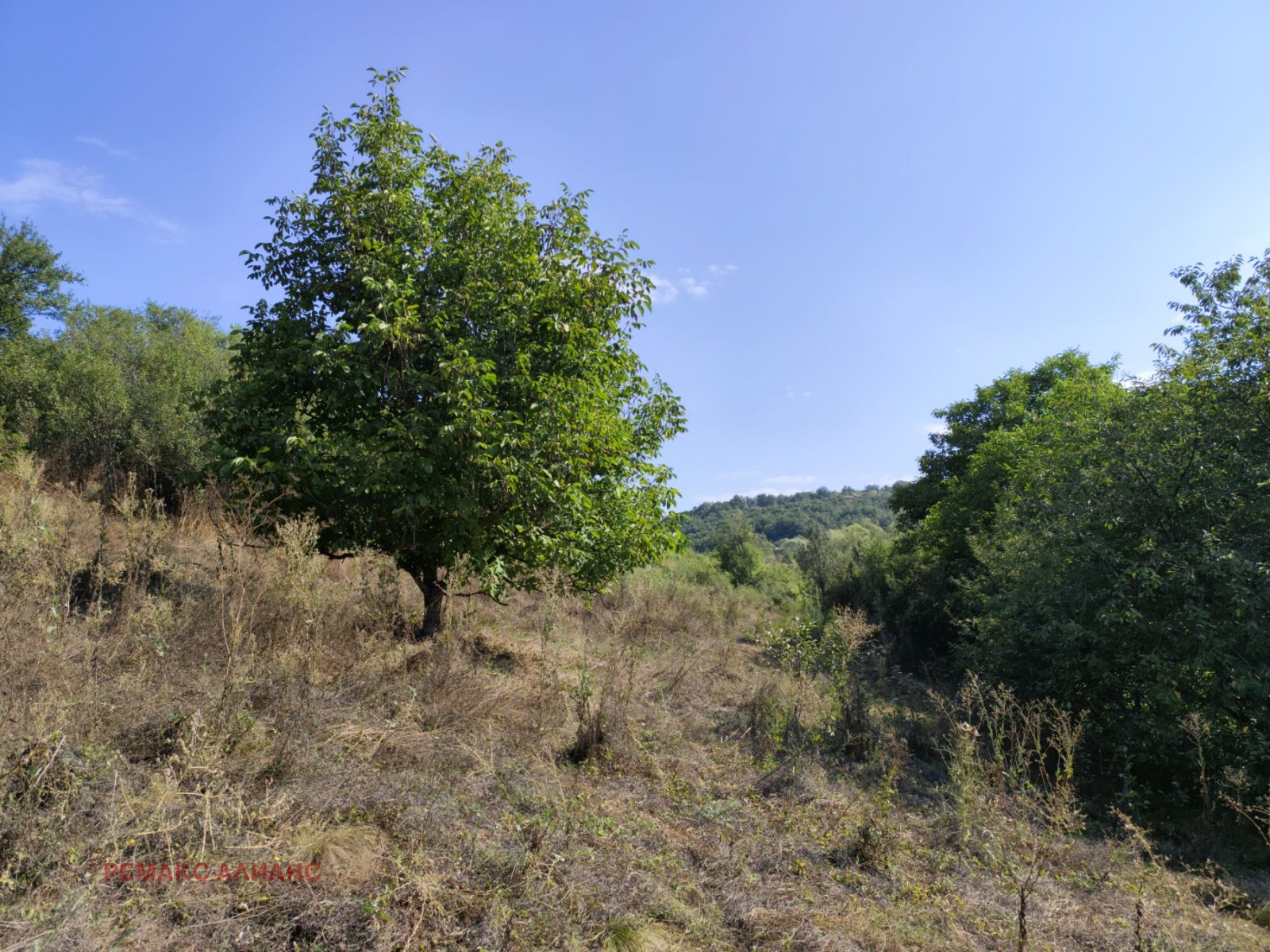 Продава ПАРЦЕЛ, с. Косача, област Перник, снимка 15 - Парцели - 54547188