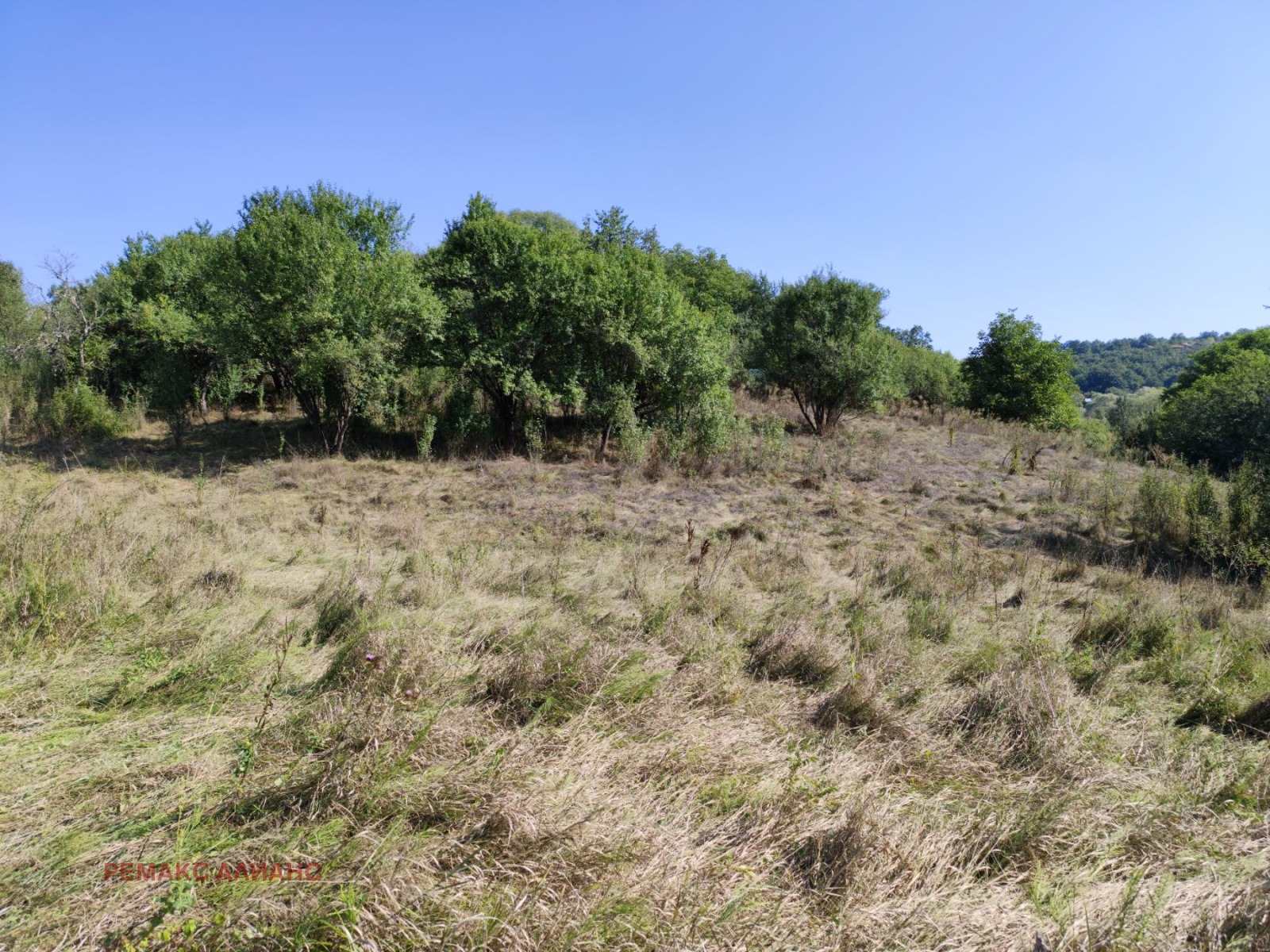 Продава ПАРЦЕЛ, с. Косача, област Перник, снимка 3 - Парцели - 54547188