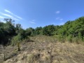 Продава ПАРЦЕЛ, с. Косача, област Перник, снимка 14