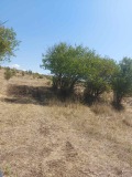 Продава ПАРЦЕЛ, град София, гр. Нови Искър • 245000 € • 72266802 — Holmes.bg