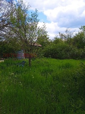 ������� ���� | Imot.bg � ����� ������ 10