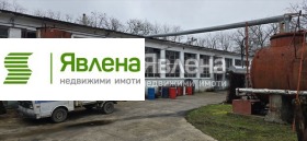 ����� ������� ������,�. ���������, ������ �����