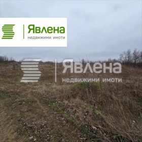 ����� ������� ������,�. ���������, ������ �����