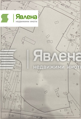 ����� ������� ������,�. ���������, ������ �����