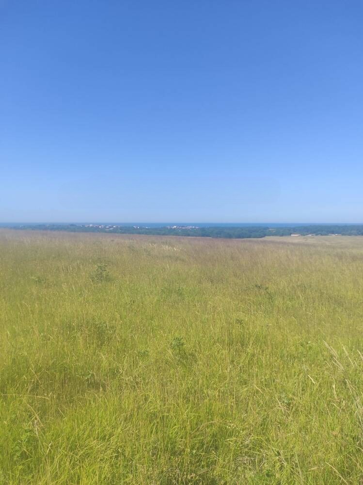 Na prodej  Spiknutí oblast Burgas , Karnobat , 2000 m2 | 60450728