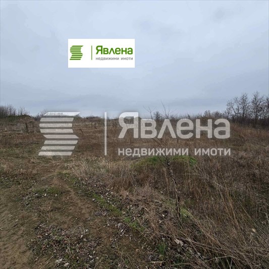 Продава ПАРЦЕЛ, с. Новоселци, област Видин, снимка 2 - Парцели - 54232524