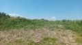 Продава ПАРЦЕЛ, гр. Пловдив, Южна дъга, снимка 1