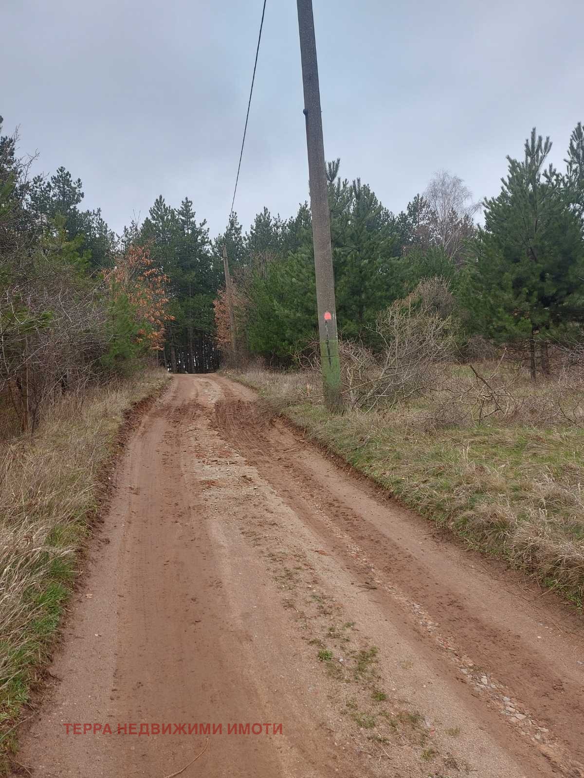 ������� ������ | Imot.bg � ����������� 3