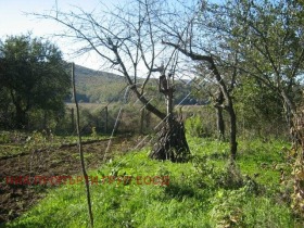 Maison Brodilovo, région Bourgas 5