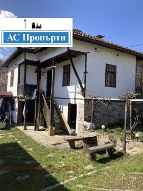 ������ ������� ����