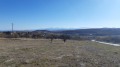 Продава ПАРЦЕЛ, област София, с. Вакарел • 87420 € • 64231940 — Holmes.bg
