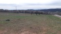 Продава ПАРЦЕЛ, област София, с. Вакарел • 87420 € • 64231940 — Holmes.bg