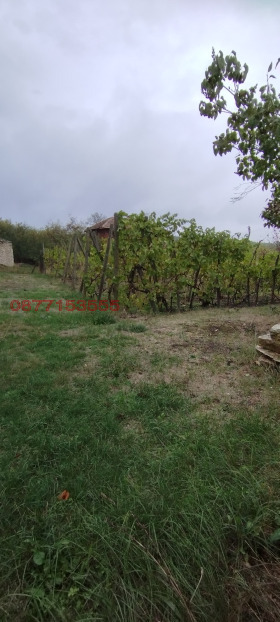 ������� ���� | Imot.bg � ����������� 6