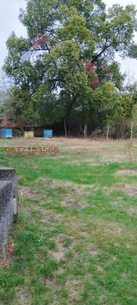 ������� ���� | Imot.bg � ����������� 7