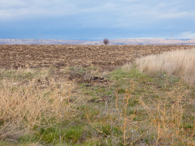 ������� ������ | Imot.bg � ����� ������ 3