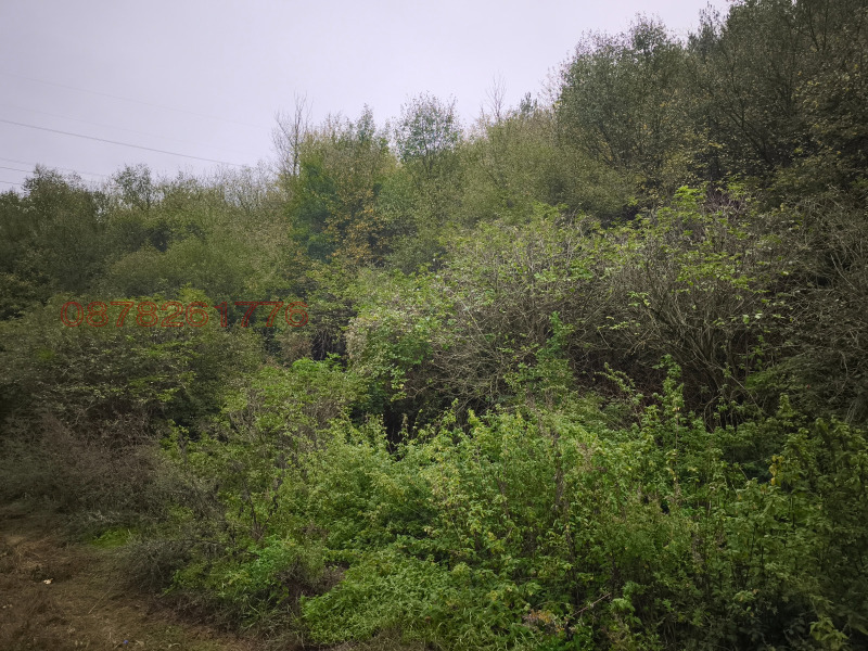 Продава  Вила област София , с. Златуша , 150 кв.м | 36623722 - изображение [3]