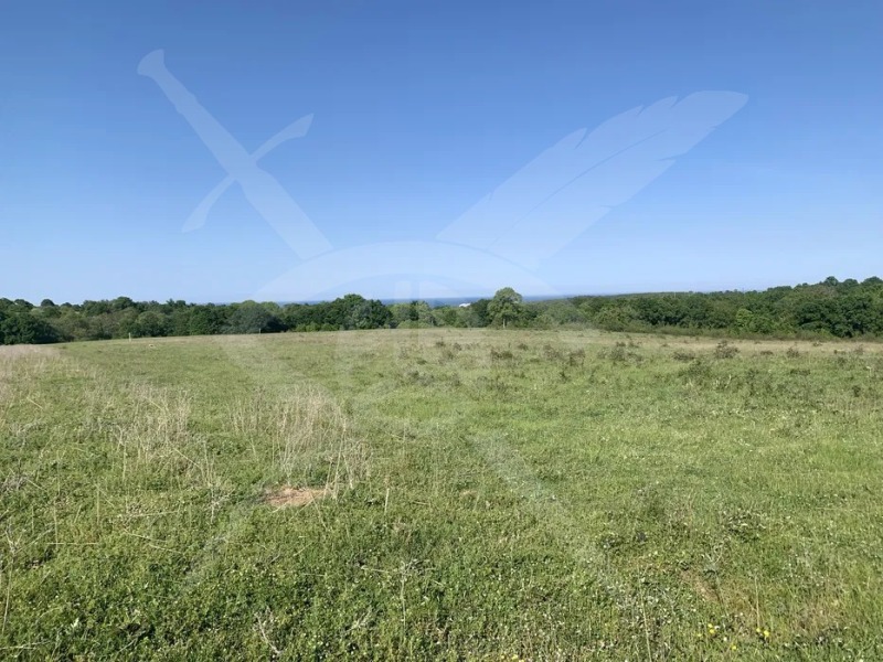 Продава ПАРЦЕЛ, област Бургас, с. Русокастро • 10000 € • 54504602 — Holmes.bg