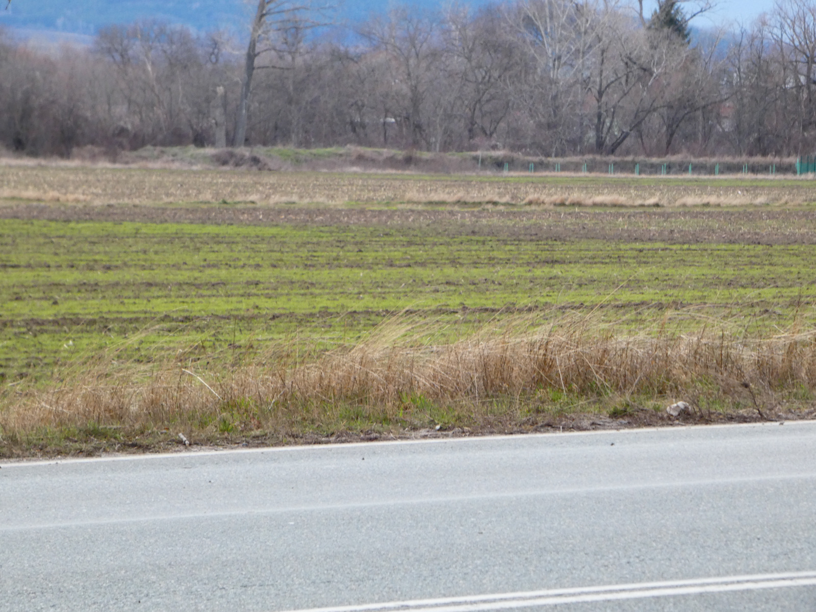 Продава ПАРЦЕЛ, гр. Божурище, област София област