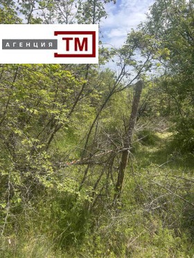 Parcelle Malka Vereya, région Stara Zagora 1