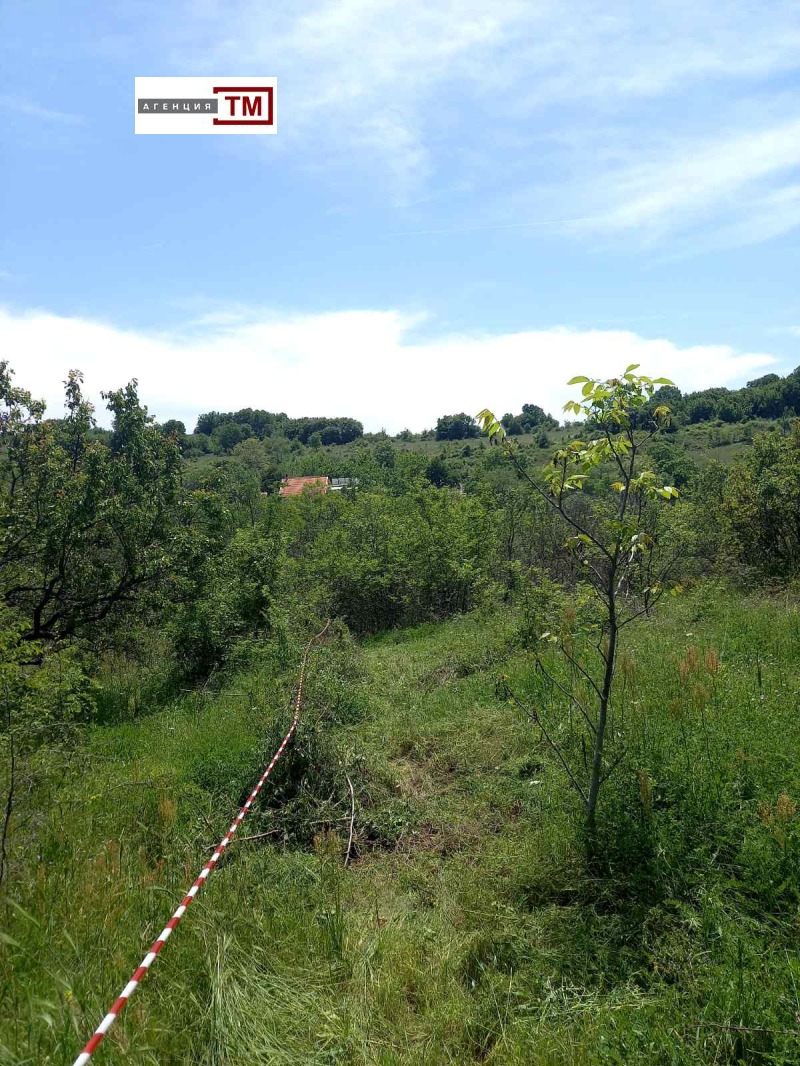 Satılık  Komplo bölge Stara Zagora , Malka Vereya , 1000 metrekare | 32165779 - görüntü [4]