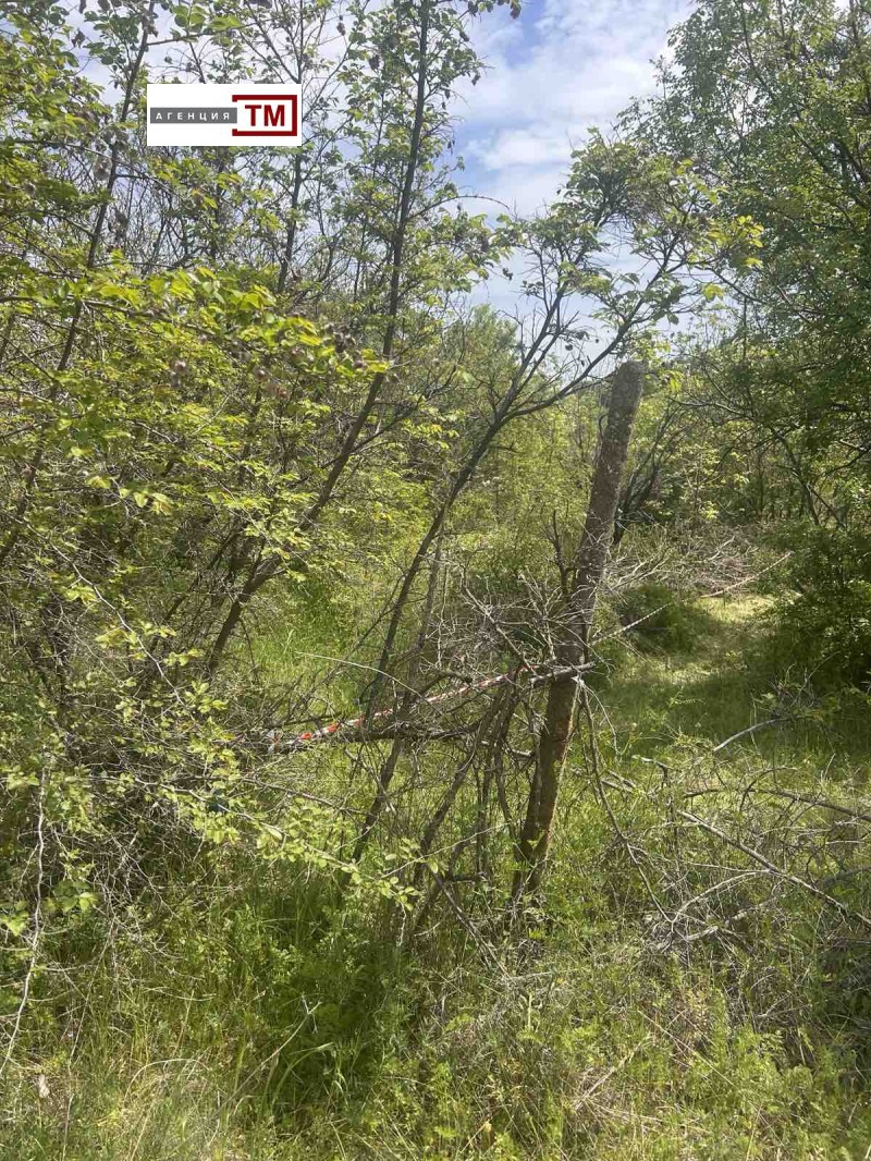 Til salg  Grund region Stara Zagora , Malka Vereya , 1000 kvm | 32165779