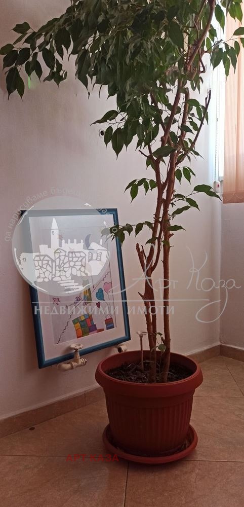 ������� ���� | Imot.bg � ����������� 4