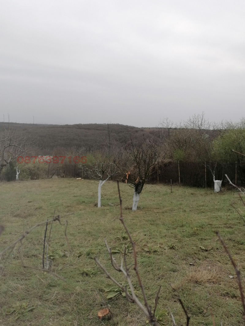 Продава ПАРЦЕЛ в област Русе, с. Николово - 500 кв.м / 7 600 € » 14 864.31 лв.