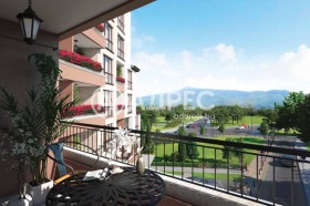 ����� ������� 3-�����,���� �����, ���� �����