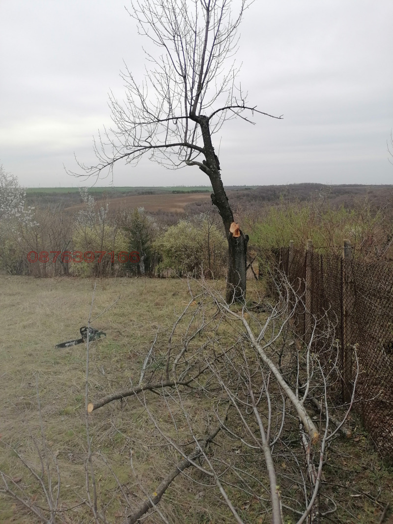 Продава ПАРЦЕЛ, с. Николово, област Русе