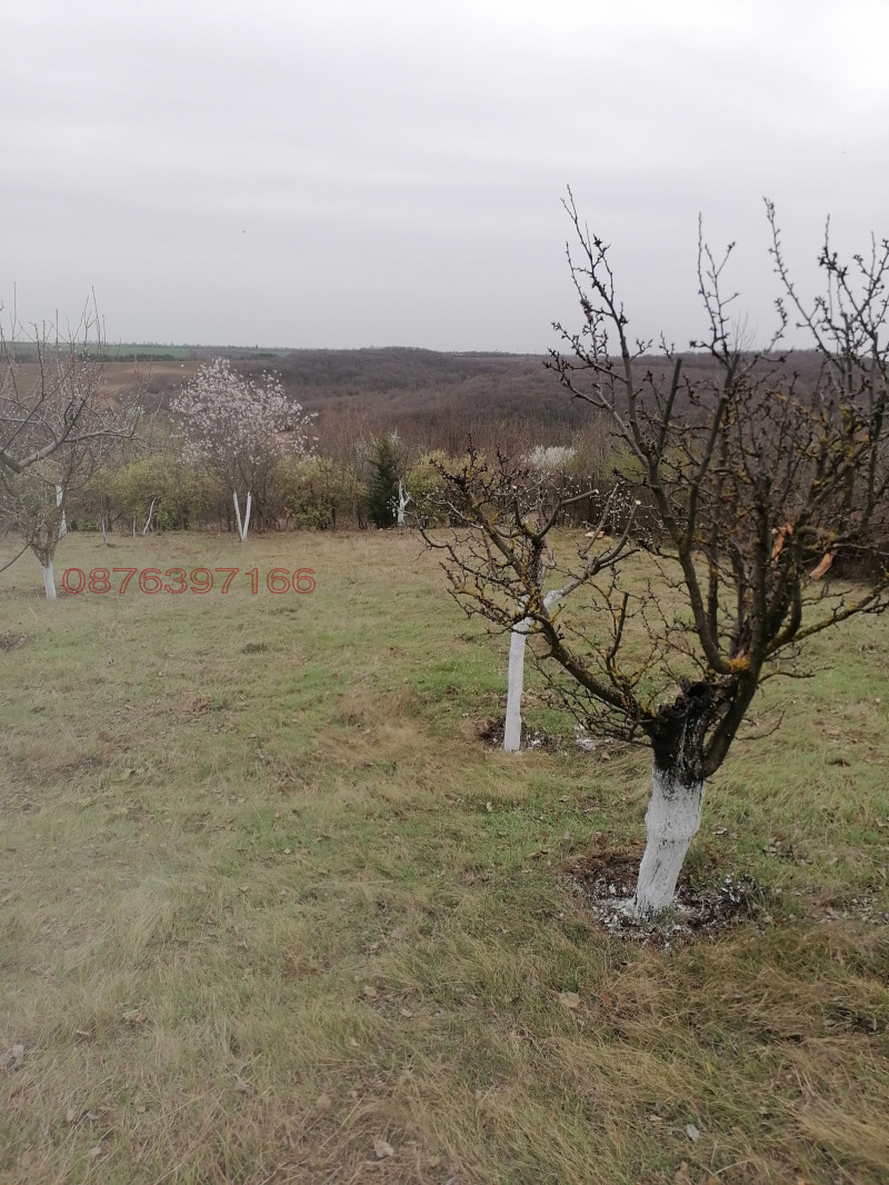 Продава ПАРЦЕЛ, с. Николово, област Русе, снимка 16 - Парцели - 52782142